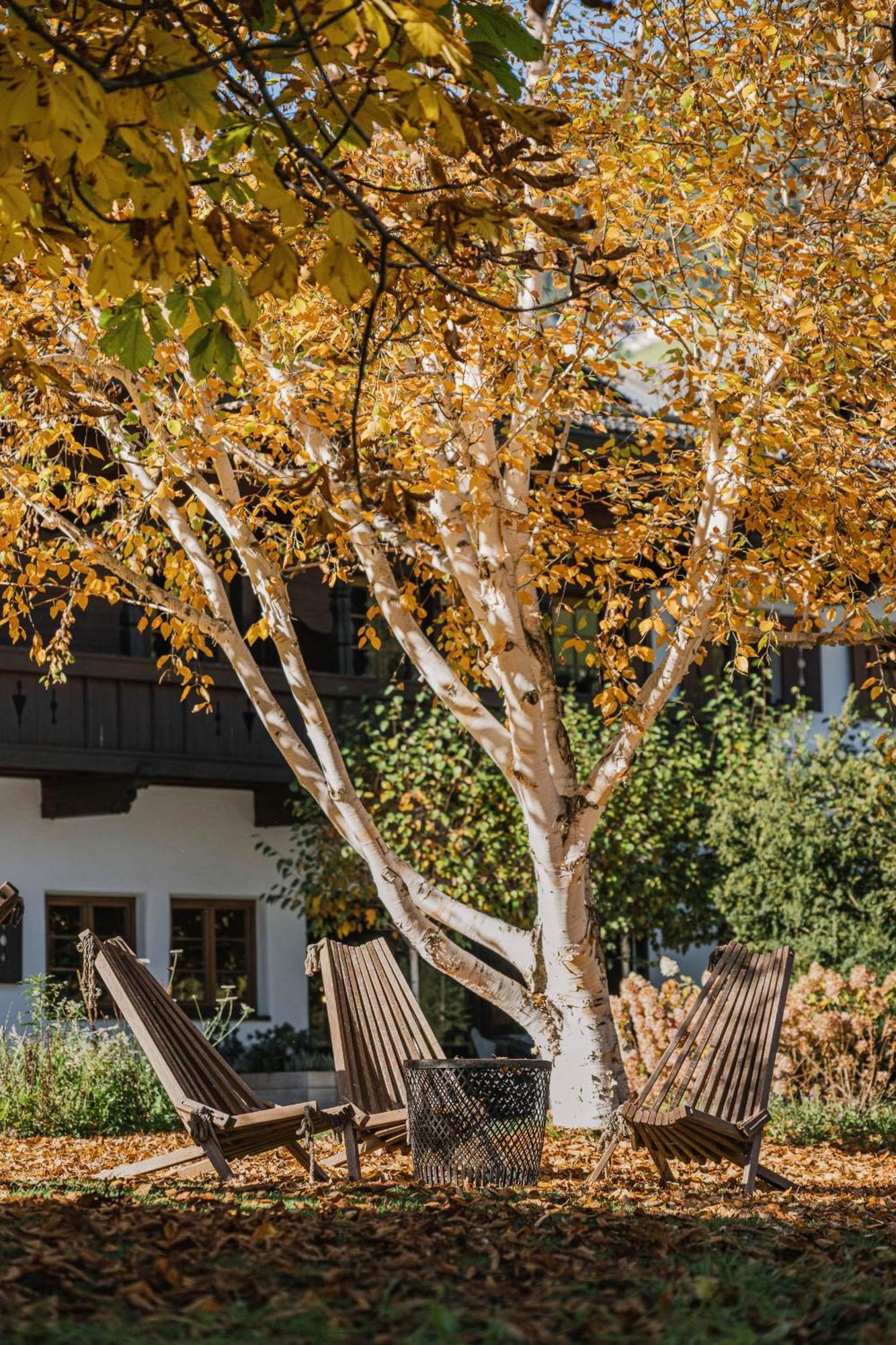 Schönherr Haus Neustift im Stubaital Exterior foto